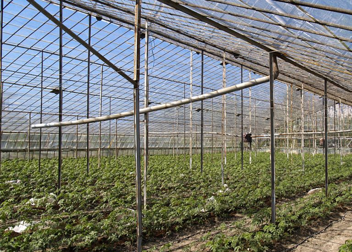 1652408775147629.jpg 4.jpg